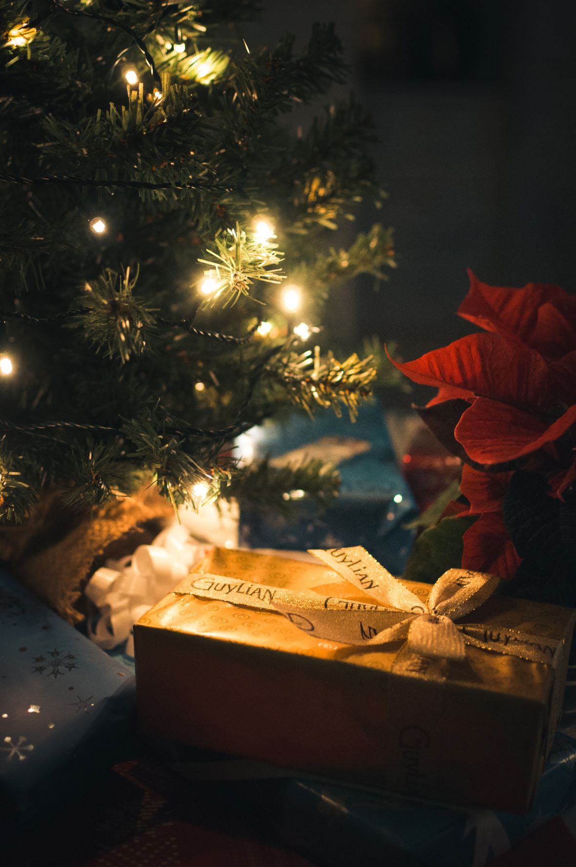 Gifting Ideas this Season