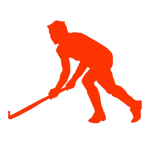 Man playing hockey